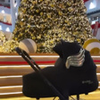 Коляска • Cybex • Черный