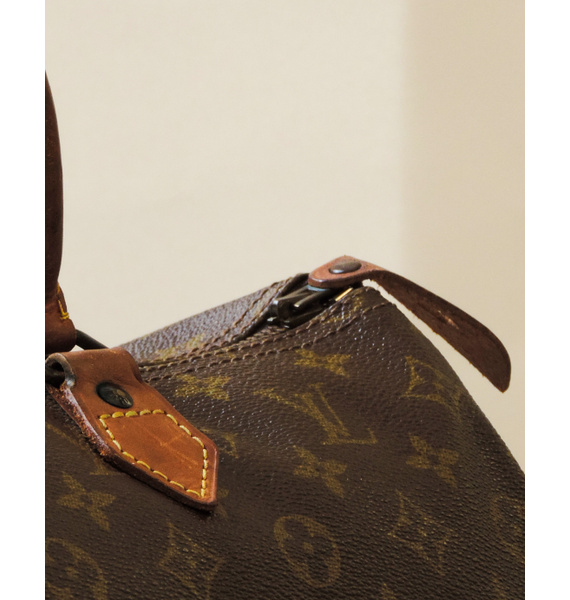 Сумка • Louis Vuitton • Коричневый