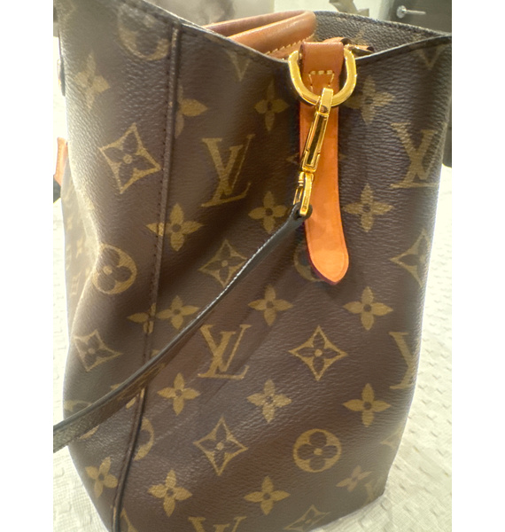 Сумка • Louis Vuitton • Коричневый