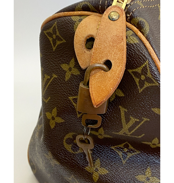 Сумка • Louis Vuitton • Коричневый