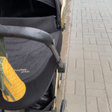 Коляска • Cybex • Черный