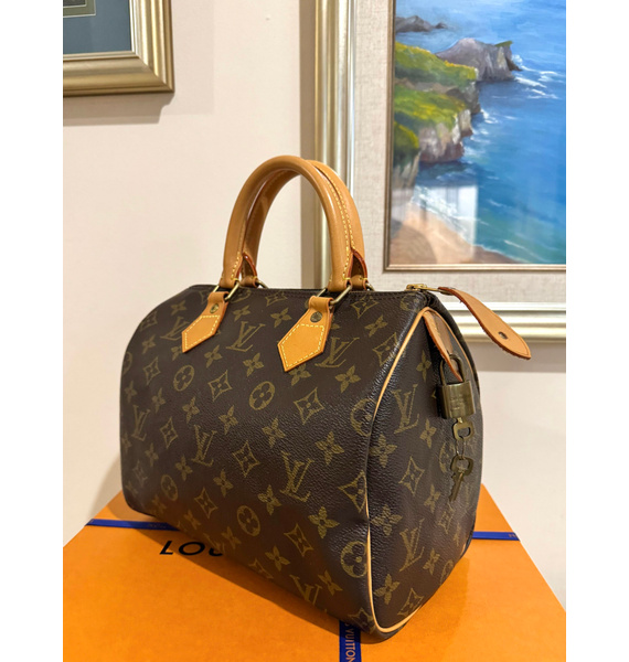 Сумка • Louis Vuitton • Коричневый