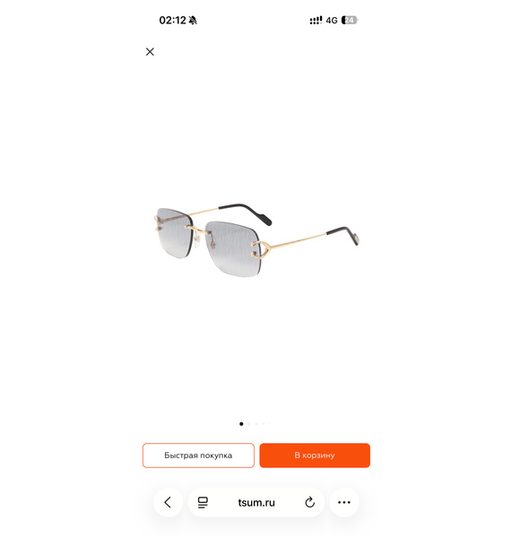 Очки • Cartier • Серый