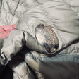 Тренч • DIEGO M • Бежевый