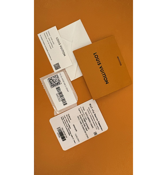 Сумка • Louis Vuitton • Черный