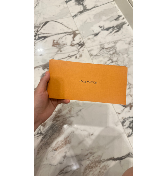 Сумка • Louis Vuitton • Коричневый