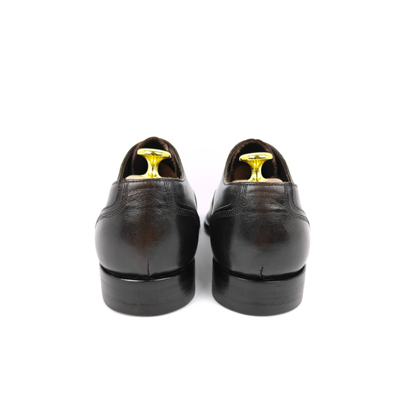 Туфли • Ermenegildo Zegna • Коричневый