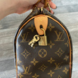 Сумка • Louis Vuitton • Коричневый