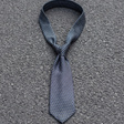 Галстук • Ermenegildo Zegna • Мульти