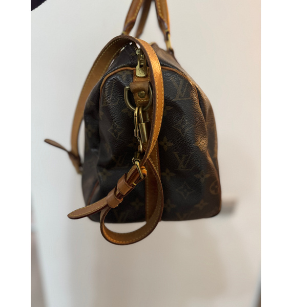 Сумка • Louis Vuitton • Коричневый