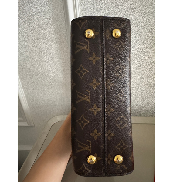 Сумка • Louis Vuitton • Коричневый