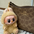 Сумка • Coach • Коричневый