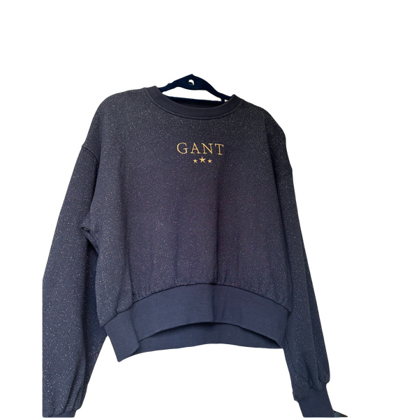 Худи • Gant • Синий