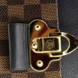 Сумка • Louis Vuitton • Коричневый