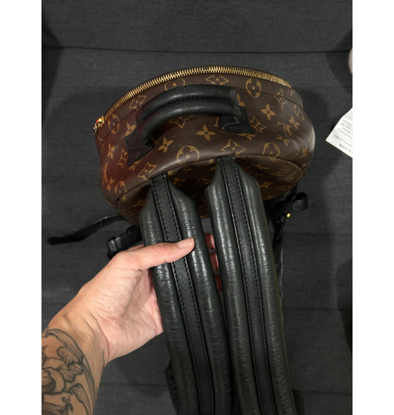 Рюкзак • Louis Vuitton • Коричневый