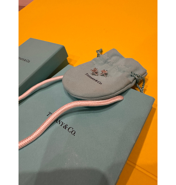 Пусеты • Tiffany & Co. • Серебряный