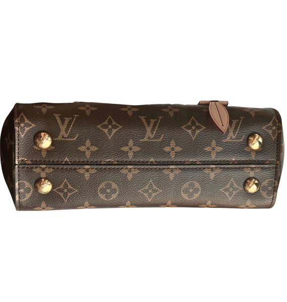 Сумка • Louis Vuitton • Коричневый