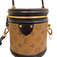 Сумка • Louis Vuitton • Горчичный