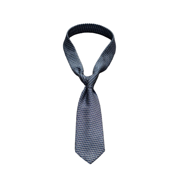 Галстук • Ermenegildo Zegna • Мульти