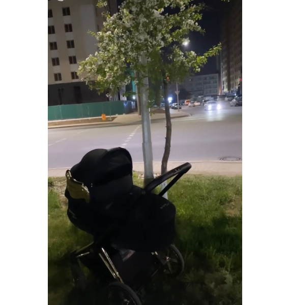 Коляска • Cybex • Черный